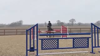 WORKING HUNTER/INTERMEDIATE PROSPECT. SCOPE TO BURN - ad ref: 251381