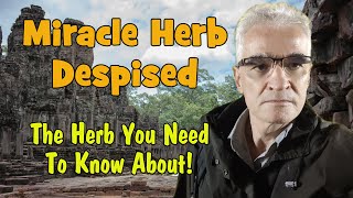 Unlock the Shocking Truth about an Unassuming Herb! | ทฤษฎีสมคบคิดสมุนไพรไทยนางแฃง
Dive into the unexpected as we unveil the hidden secrets of a seemingly harmless herb that has sent shockwaves through medical circles. In this eye-opening video, discover the astonishing revelations about the havoc this little-known herb is causing, leaving the medical community in outrage!
💔 Dont miss out – click now to stay informed and join the conversation on this groundbreaking discovery! 🌐💡
https://www.tawanduan.com.au/trigonostemon-reidioides Unlock the Shocking Truth about an Unassuming Herb! | ทฤษฎีสมคบคิดสมุนไพรไทยนางแฃง