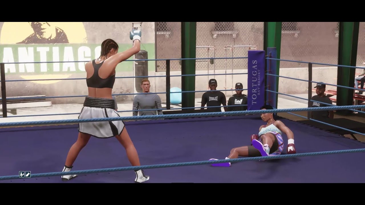 Undisputed Career Mode - Women's Lightweight Division(Usyk punchset)