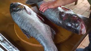 Cooking Fish for Dinner! 2 Large Silver Carp Baked in a Russian Oven. by BON APPETIT LIFE 63,945 views 5 months ago 16 minutes