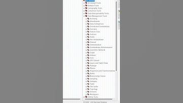 Tips mengatasi citra tdk ter define di #ArcGIS #demnas #belajarpetadainol #map #arcgistutorial
