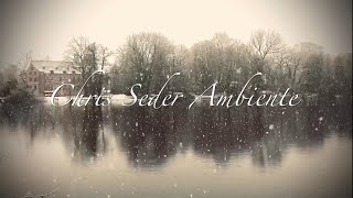 Snow Relax Water Place Health Relax Ambiente with Music