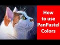 How to use PanPastel Colours - Jason Morgan Art