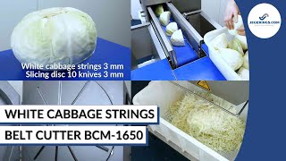 White Cabbage Cutting Machine | Vegetable Slicer BCM-1650 | Vegetable Processing Machinery