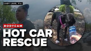 Puppy rescued from hot car