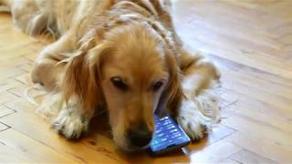 Coinbenders Commercial First Look screenshot 5