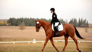 Manitoba Horse Trials Derby || October 2017