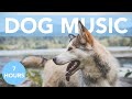 7 Hours of relaxing Music for Dogs! Help Your Dog Sleep FAST!