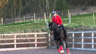 May doing some flatwork at home! - 29/03/12