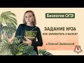 Задание №26. Как заработать 3 балла?