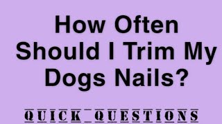 How Often Should I Trim My Dogs Nails? | QUICK QUESTIONS