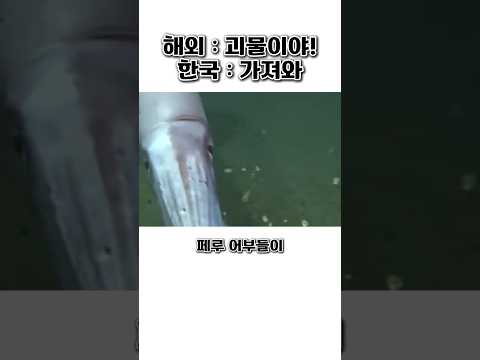 페루 어부들이 바다 괴물이라며 버리던 걸 싹 쓸어버린 한국 클라쓰 thumbnail