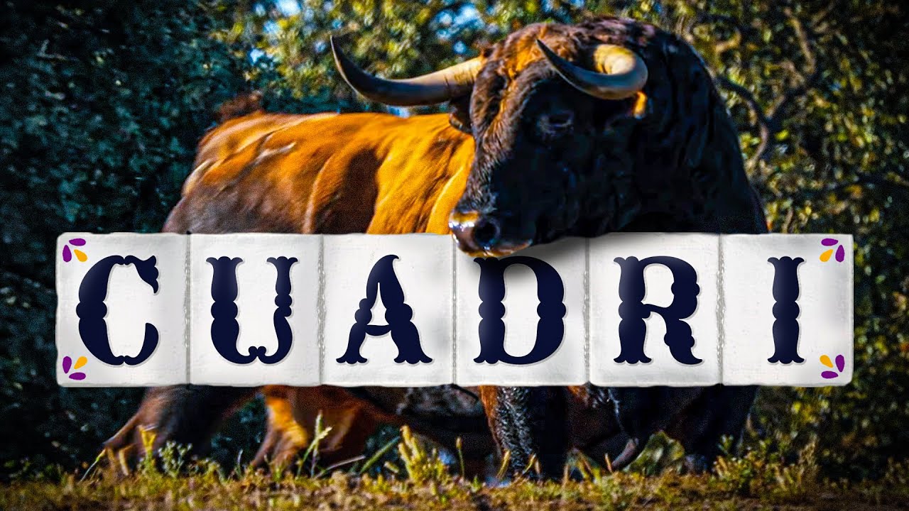 GANADERIA HIJOS DE CELESTINO CUADRI | Comeuñas : cuna del toro bravo