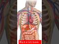Magnesium and its health benefits, its rich foods #medicalstudent #magnesium #nutrition #health