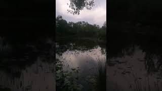 VID 20250512 184757