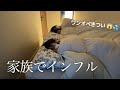 インフルと帯状疱疹で家族総倒れ….相変わらずのワンオペつらい😭