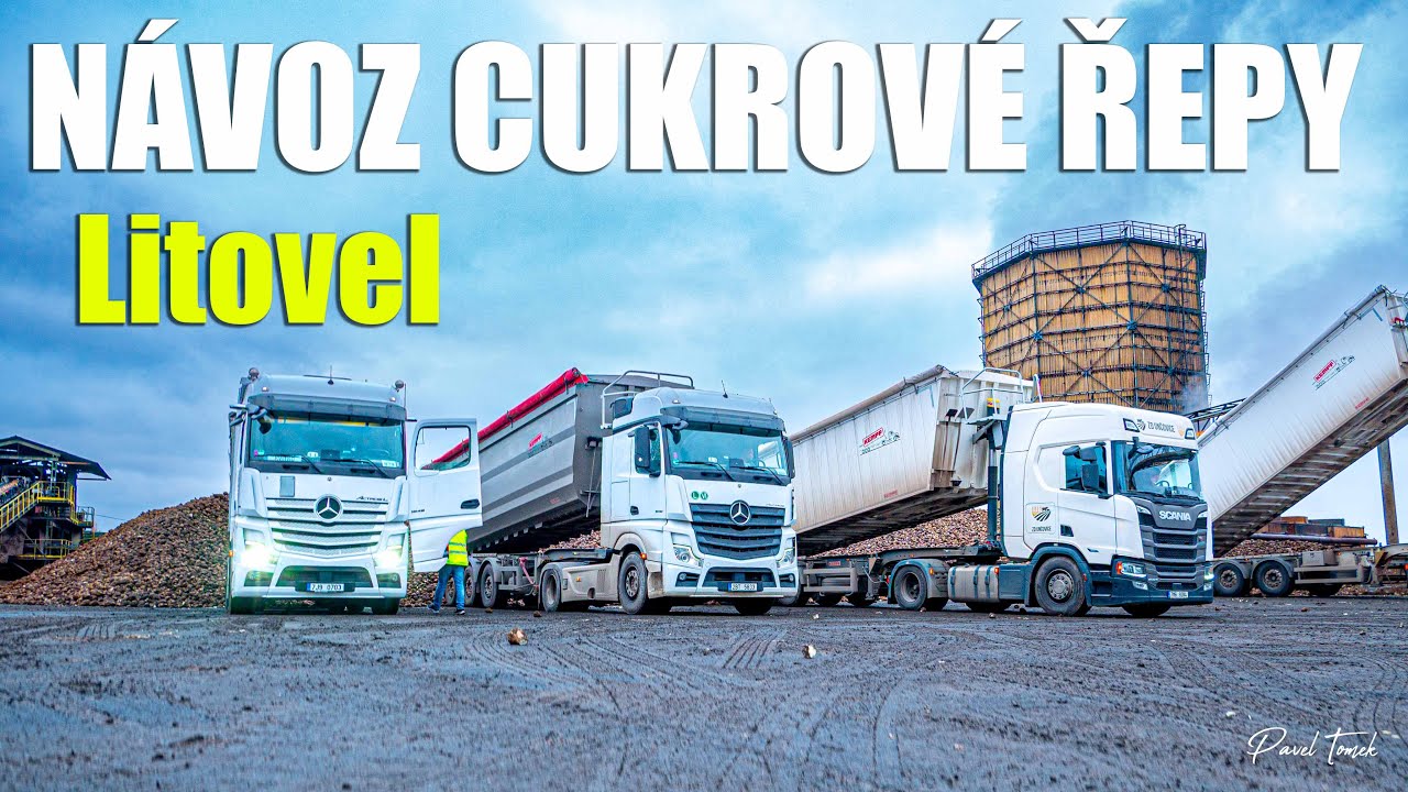 Návoz cukrové řepy do cukrovaru Litovel listopad 2025 | Liebherr 556 | Big Truck| Řepná kampaň 2025