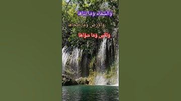 تلاوت زیبای قرآن کریم سوره والشمس توسط استاد قاری سید جواد حسینی/ Qari sayed jawad husaini