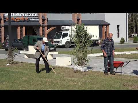 ხობში ხის დარგვის საერთაშორისო დღე აღნიშნეს 22 10 20