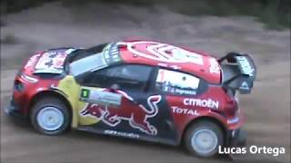 WRC Rally Argentina 2019 / Show, Mistakes and Max Attack