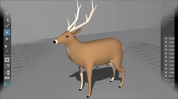 Modeling in Maya - Deer