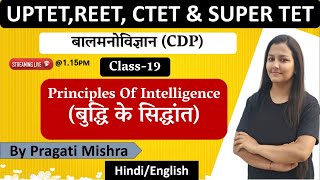 बुद्धि के सिद्धांत (Principles of intelligence)| UPTET/REET/CTET/SUPER TET & ALL State TETs