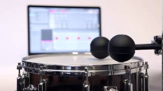 Polyend Perc rimshots