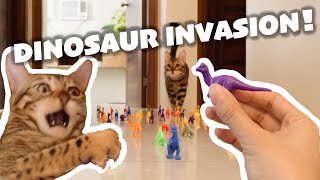 CAT VS DINOSAUR INVASION! | CAT GOES WILD FIGHTING INVADERS |BEST FUNNY CAT REACTION |TheMingmingCo. by TheMingmingCo. 342 views 3 years ago 3 minutes, 45 seconds