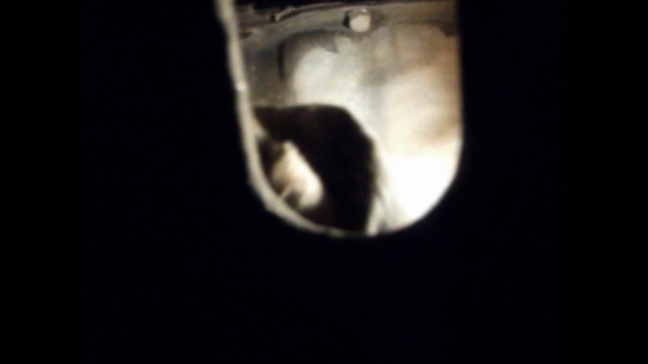 замена масла альбеа +кат№ - YouTube