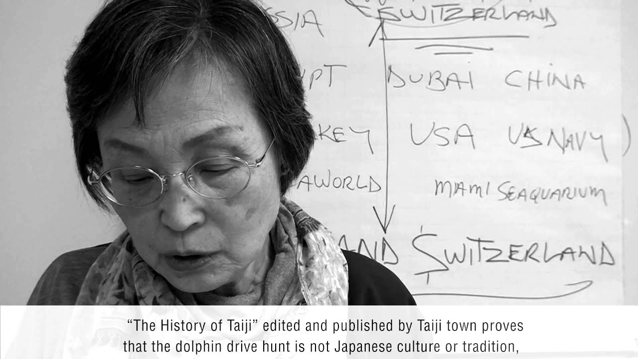 Japanese dolphin drive hunt is not culture or tradition