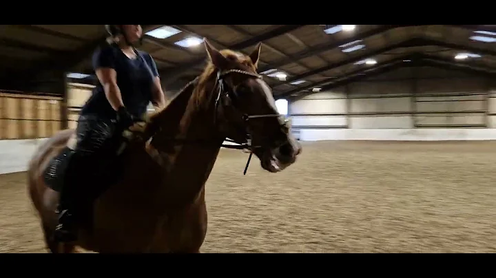 Connie England riding Aprico's Delgado Aug 22 prel...