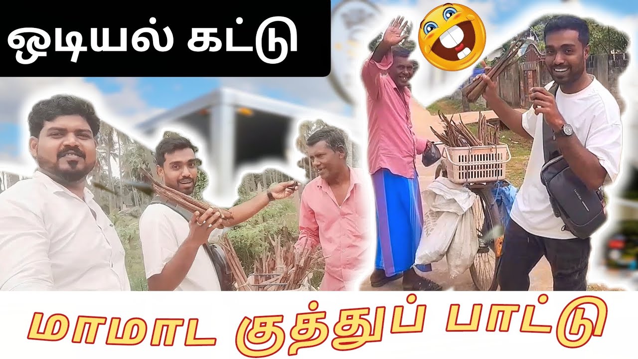 ஆமினா முத்து சின்ன கருப்பி 🎶  பாட்டு - மாமாட அவிச்ச ஒடியல் சாப்புட்டு ஆத்தல் 🤣 Azad Bro Vlog | Tamil