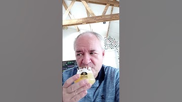 Dark Revolution Brewing - Addicted to Haze - Hazy IPA - Craft Beer Review