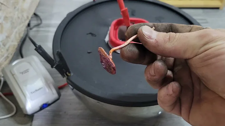 Copper cell build for scrap silver and scrap gold refining waste.