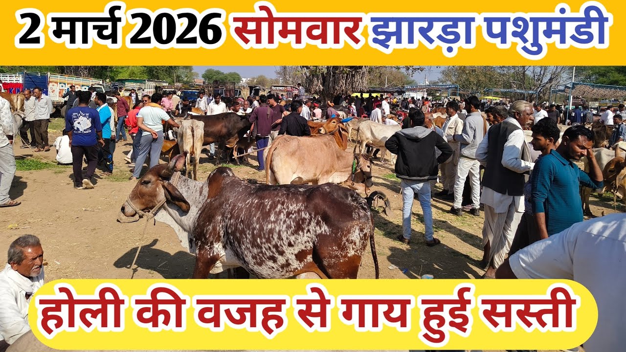 2 मार्च 2026 सोमवार झारड़ा पशुमंडी जिला मंदसौर ll #jharda_pashu_mela #झारड़ा_पशु_मेला #dairyfarm  