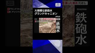 【ニュース】グランドキャニオンで大規模な鉄砲水が発生　渦巻く濁流…死者も　米国・アリゾナ州#shorts