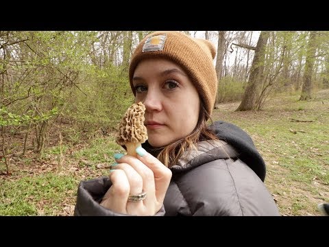 Morel Mushroom Hunting Georgia 2019 - Habitat and Trees to look for