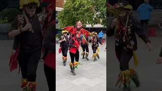 Clerical Error Border Morris