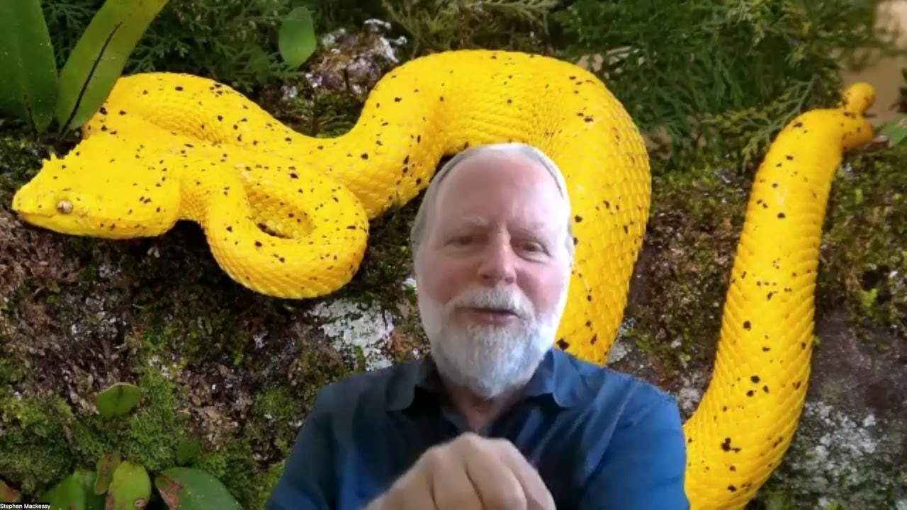 Snake Venoms: From Deadly Toxins to Potential Therapeutics