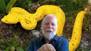 Snake Venoms: From Deadly Toxins to Potential Therapeutics