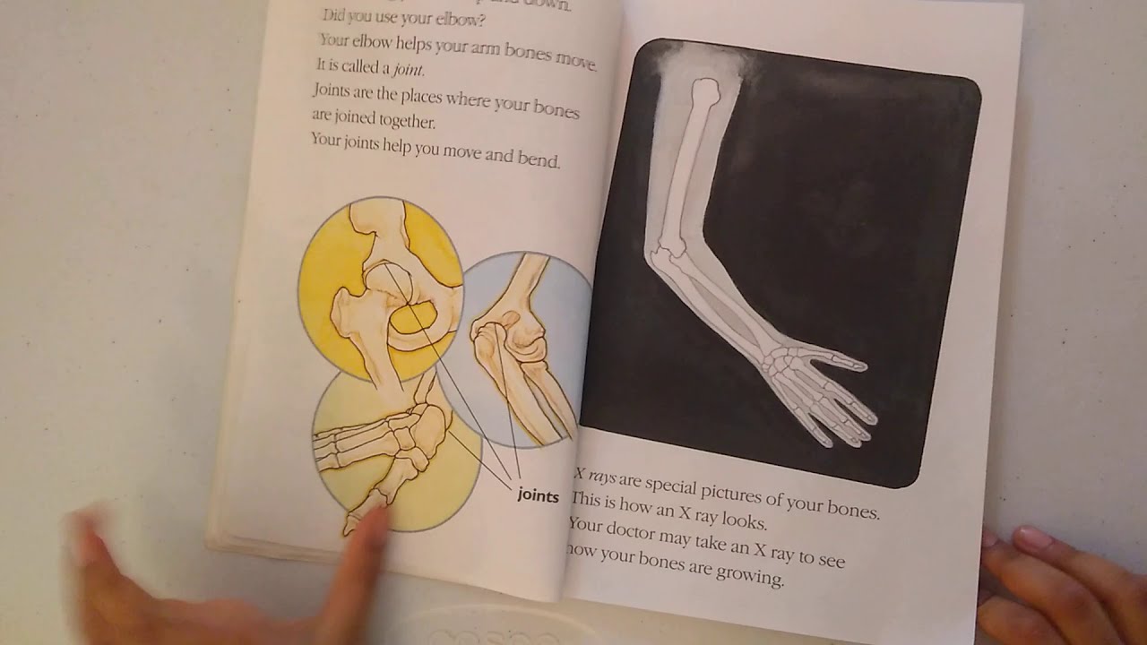 BONES! All kinds of hands,All kinds of feet. - YouTube