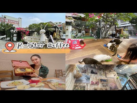 【R-Star Coffee｜台中貓咖】貓咪主題餐廳不僅貓貓可愛 餐點也十分有水準 一二樓都超美超好拍