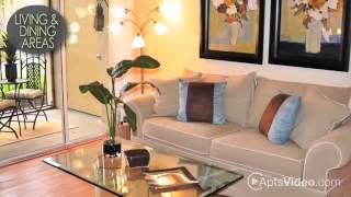 Woodbine Apartments in Palm Beach Gardens, FL - ForRent.com