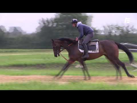 Marty Mc Fly Quinte Auteuil 29 06 21 - Marty Mc Fly Quinte Auteuil 29 06 21