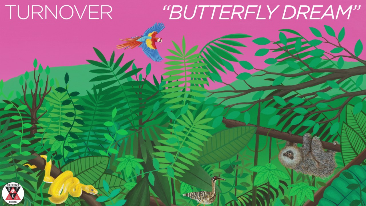 Turnover - "Butterfly Dream" (Official Audio) accords