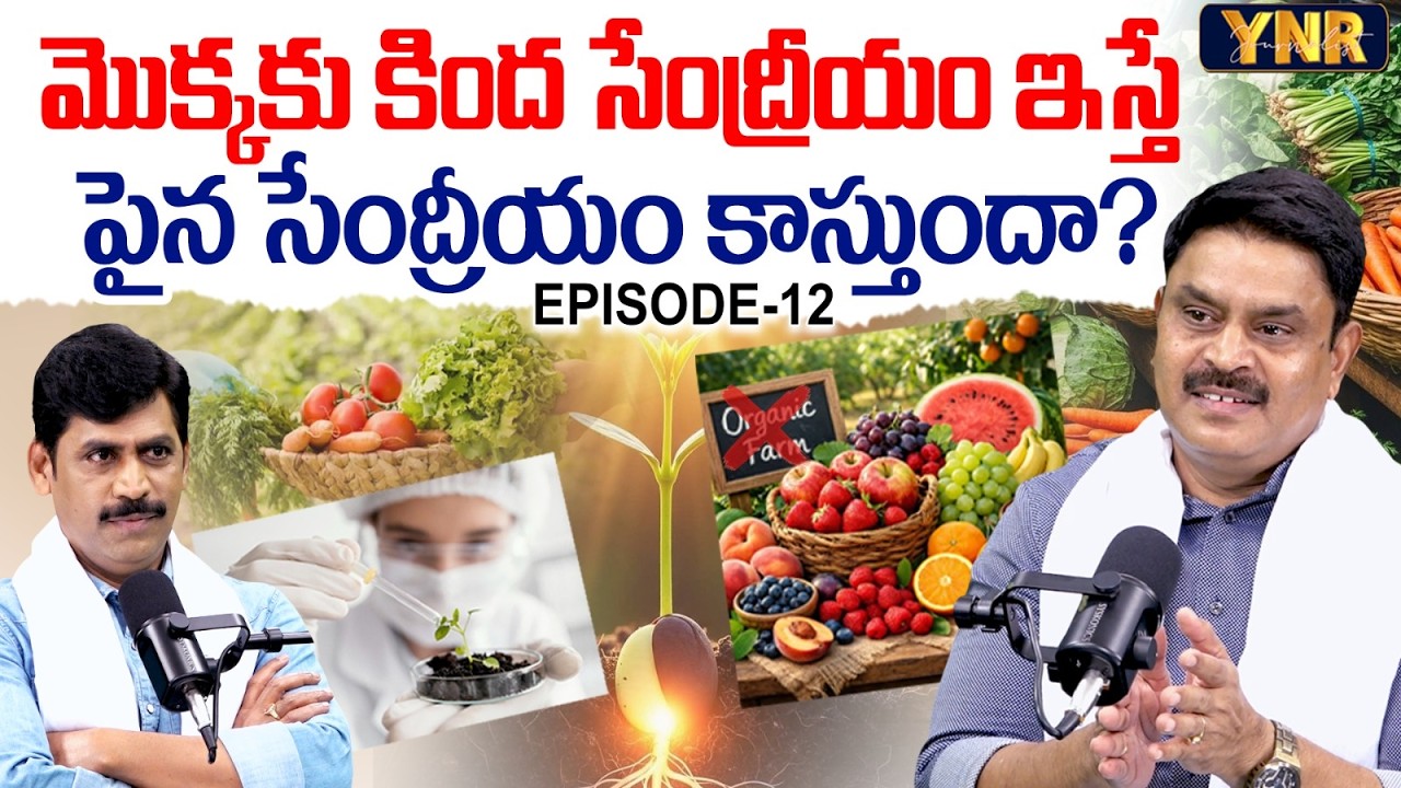 Does Giving Organic Inputs to Soil Make the Crop Organic? | Rajasekhar Reddy | Episode -12 | YNR