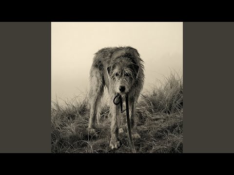 Wolfhound