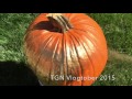 Beginning of video