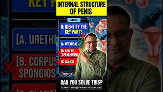 Human Reproduction | Internal Structure of Penis MCQs | Class 12 Biology #shorts #biology #ytshorts