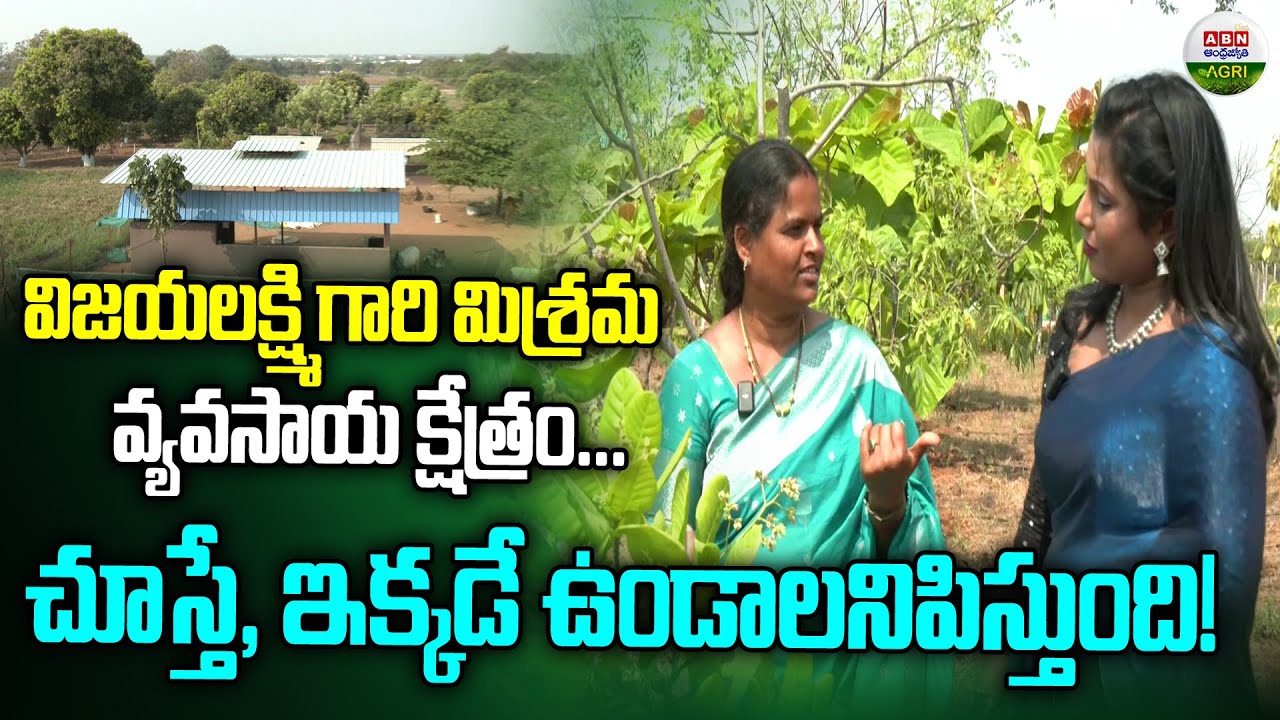 What tree will grow like a weed in this field? | Why Does Any Tree Grow Like a Weed? - ABN Agri